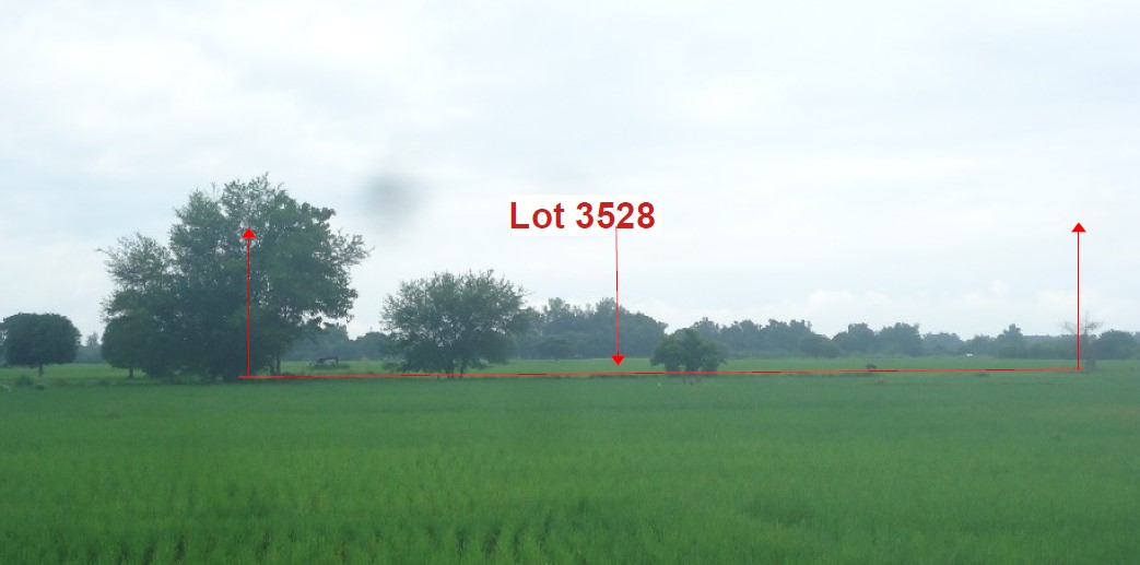 Agricultural in Lot 3528 (interior lot), Brgy. San Vicente, Victoria, Tarlac, Luzon - Foreclosed Property