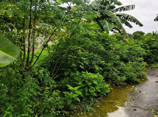 Vacant Lot in Lot 6-F, Rodland Subdivision, Brgy. Sta. Clara, Santa Maria, Bulacan, Luzon - Foreclosed Property