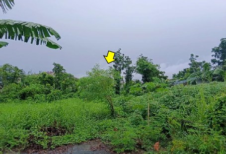 Vacant Lot in Lot 6-D, Rodland Subdivision, Brgy. Sta. Clara, Santa Maria, Bulacan, Luzon - Foreclosed Property