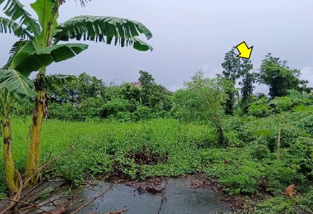 Vacant Lot in Lot 4-A, Rodland Subdivision, Brgy. Sta. Clara, Santa Maria, Bulacan, Luzon - Foreclosed Property