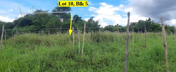 Vacant Lot in Lot 10, Blk. 5, Road Lot 4, Don Pepe's Farm Subdivision, Brgy. Pacol, Naga City, Camarines Sur, Luzon - Foreclosed Property