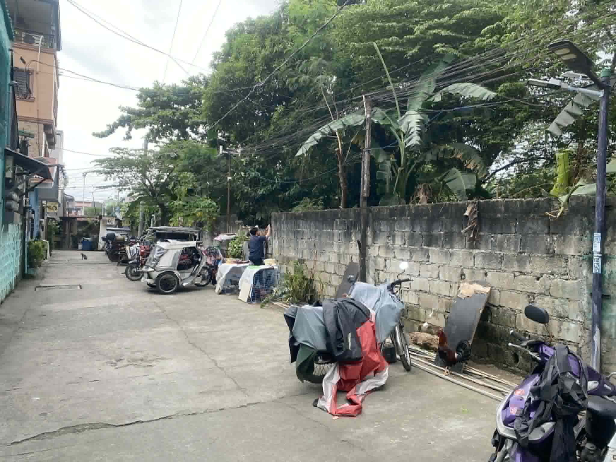 Vacant Lot in AIRPORT VILLAGE BRGY. MOONWALK, PARAÑAQUE CITY - Foreclosed Property