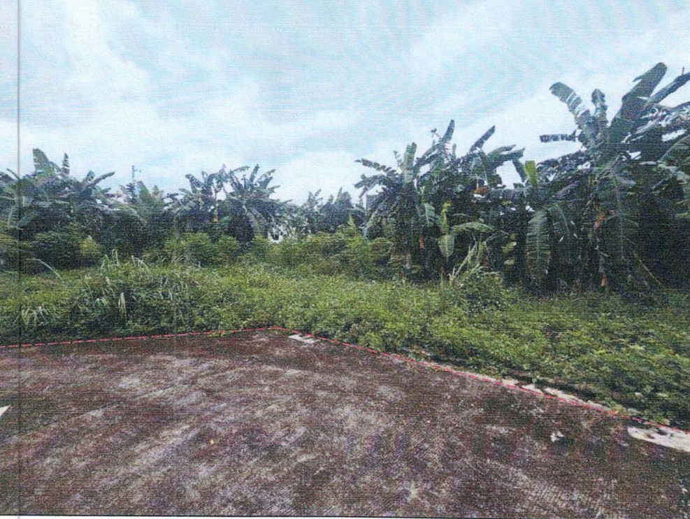 Vacant Lot in  APAO VILLE SUBDIVISION BRGY. TILHAONG CONSOLACION, CEBU - Foreclosed Property