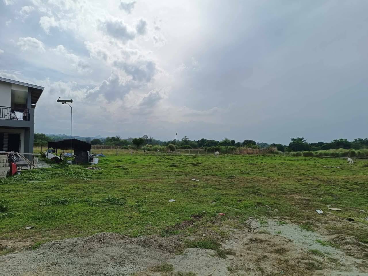 Vacant Lot in VACANT LOT FOR SALE IN STA. INES EAST, STA. IGNACIA TARLAC   - Foreclosed Property