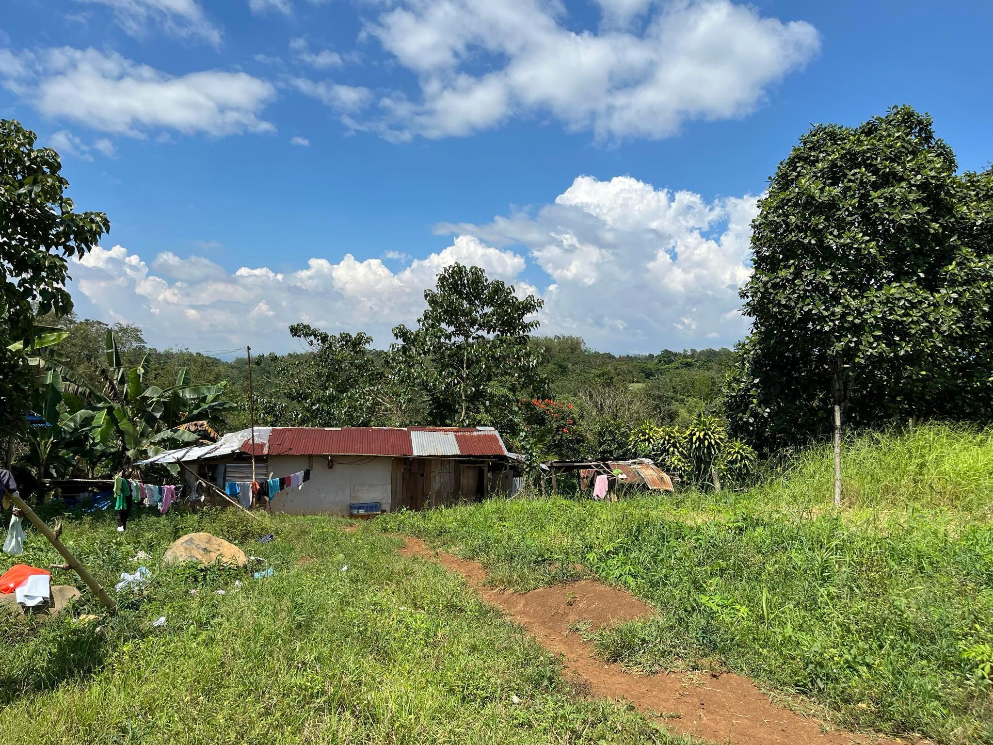 House & Lot in Lot 3, Blk. 20, Brgy San Miguel, Manolo Fortich, Bukidnon - Foreclosed Property