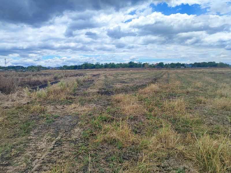 Vacant Lot in Lot 4136-E-3, Lot 4136-E-4, Bo. Patalac, Cabanatuan City, Nueva Ecija - Foreclosed Property