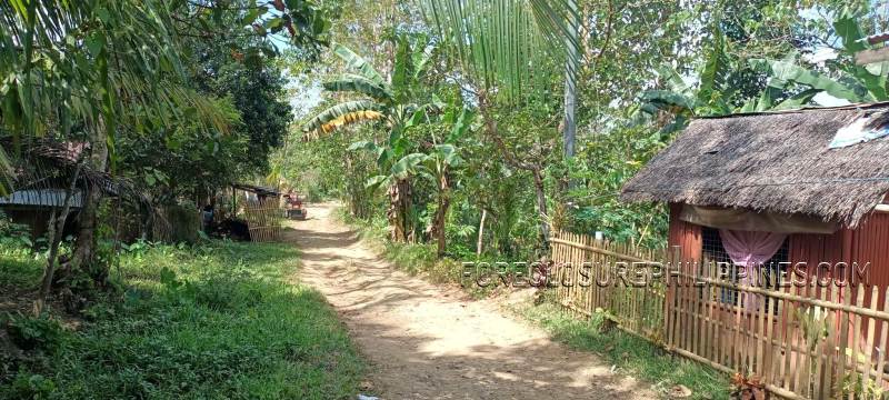House & Lot in Lot 832-B, Brgy. San Miguel, Dumalag, Capiz - Foreclosed Property