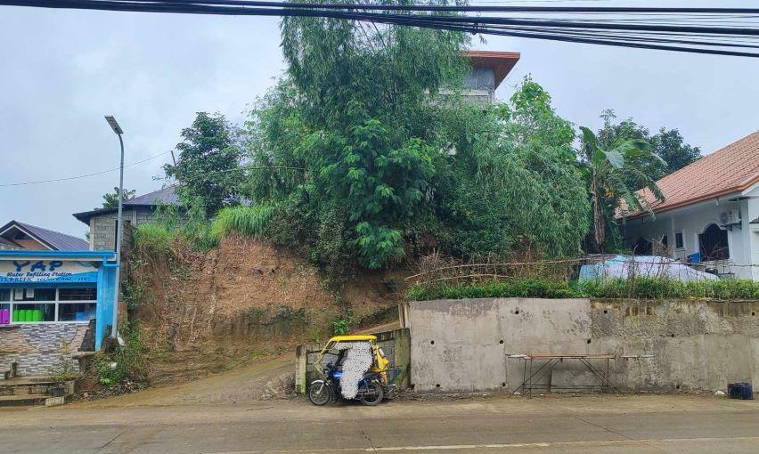 Vacant Lot in Lot B, Along Provincial Road & Unnamed Road, Brgy. Sta. Filomena, San Mariano, Isabela - Foreclosed Property