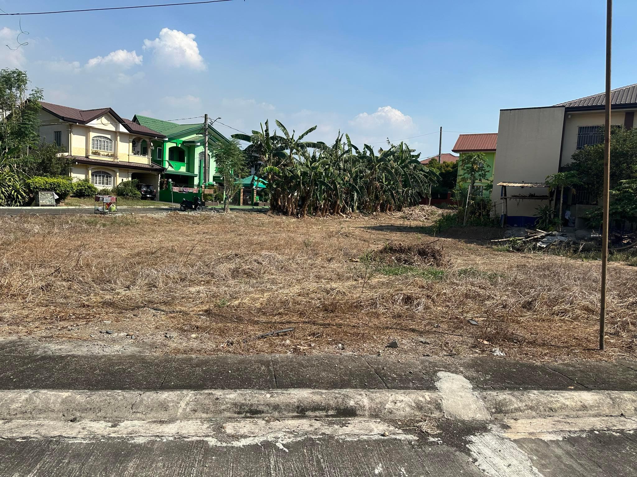 Vacant Lot in Lot 7, Blk 10, Milaflores Street, The Meadow Village Phase 1, Brgy. San Jose Patag, Santa Maria, Bulacan - Foreclosed Property