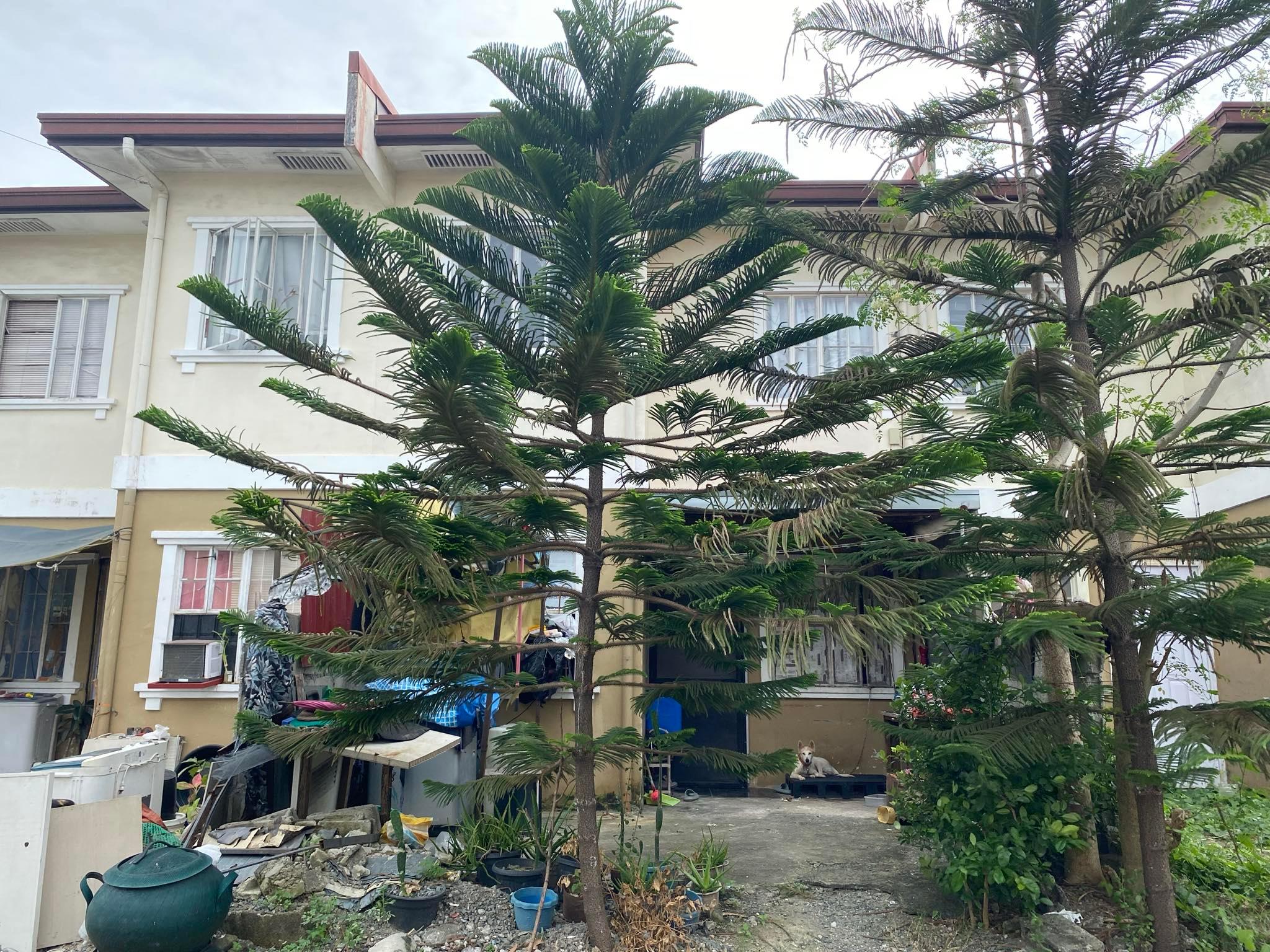 House & Lot in Lot 8 Block 4, Kensington 21, Barangay Navarro, General Trias, Cavite - Foreclosed Property