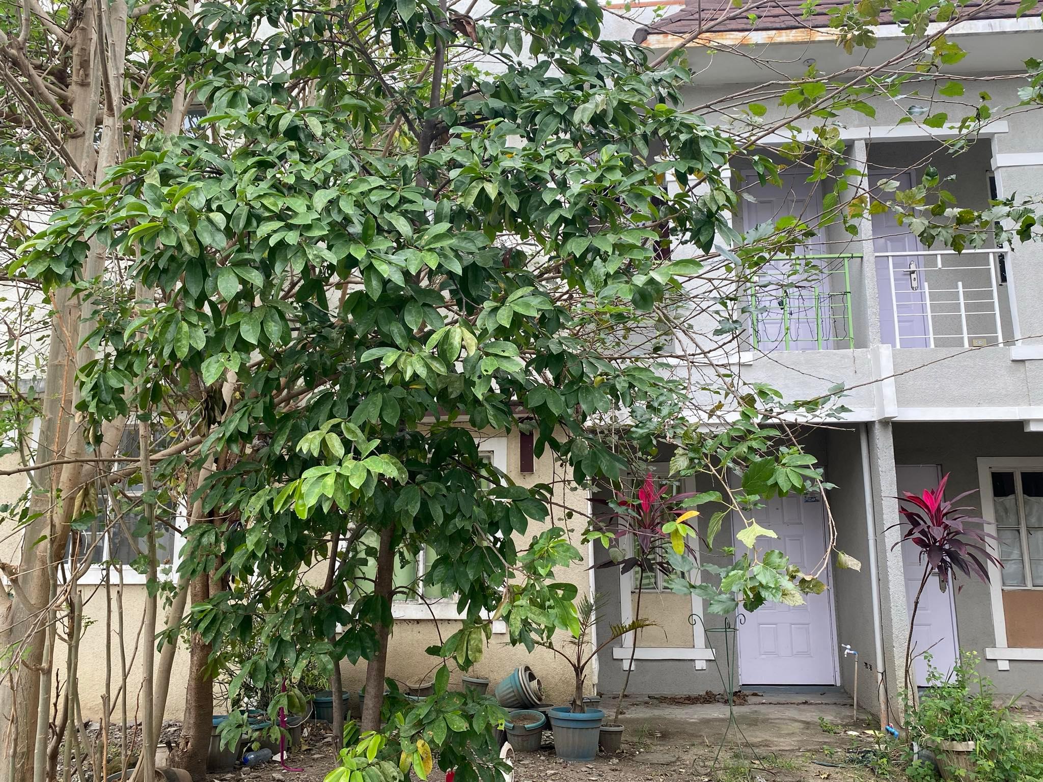 House & Lot in Lot 23, Block 2, Road Lot 2, Kensington 17, Barangay Navarro, General Trias, Cavite - Foreclosed Property