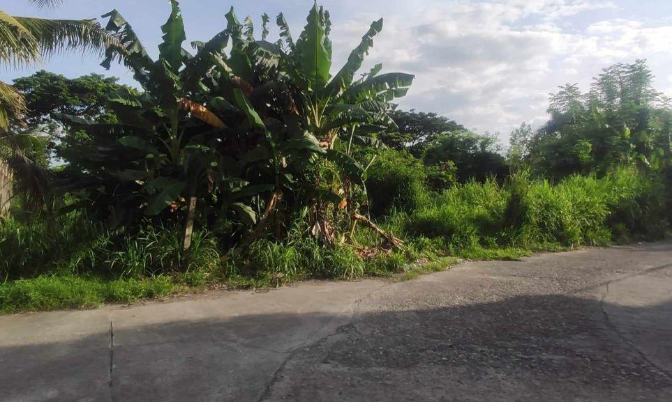 Vacant Lot in Lot 8, Along 9th Road, Sta. Monica Heights Subdivision, Brgy. San Rafael, Tarlac City, Tarlac - Foreclosed Property