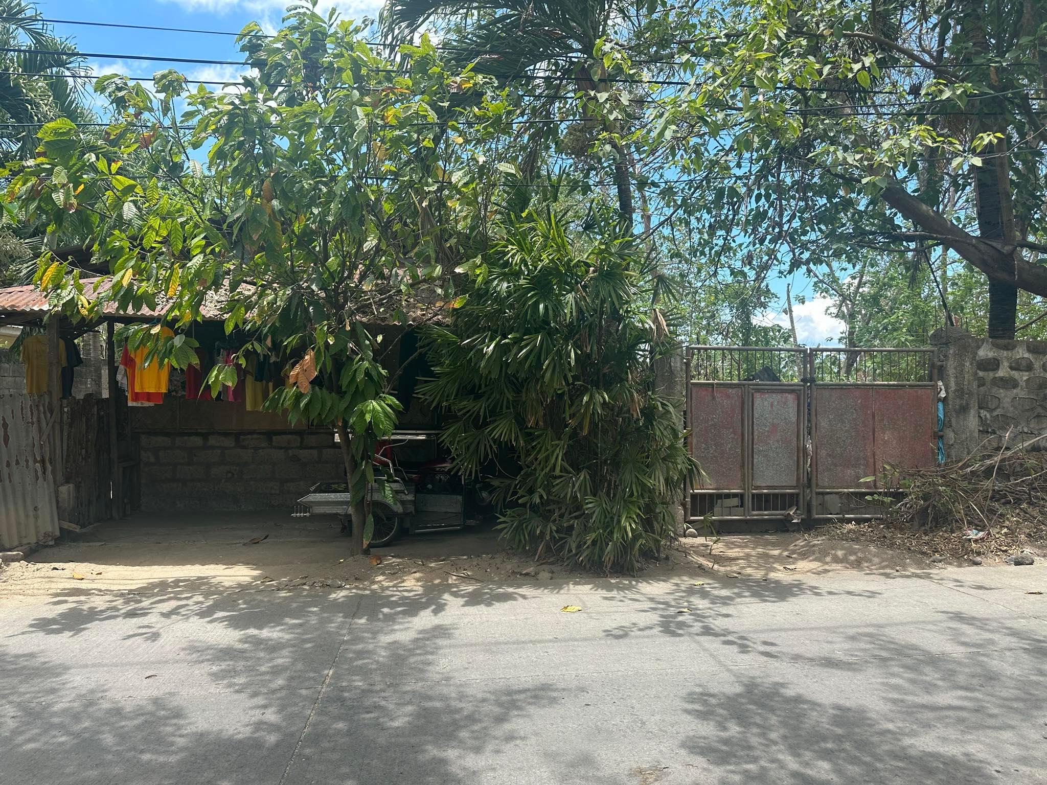 Vacant Lot in Lot 960-B-2 (Part-D4-084520) Maculele Street, Barangay Naihaya, Victoria, Laguna - Foreclosed Property