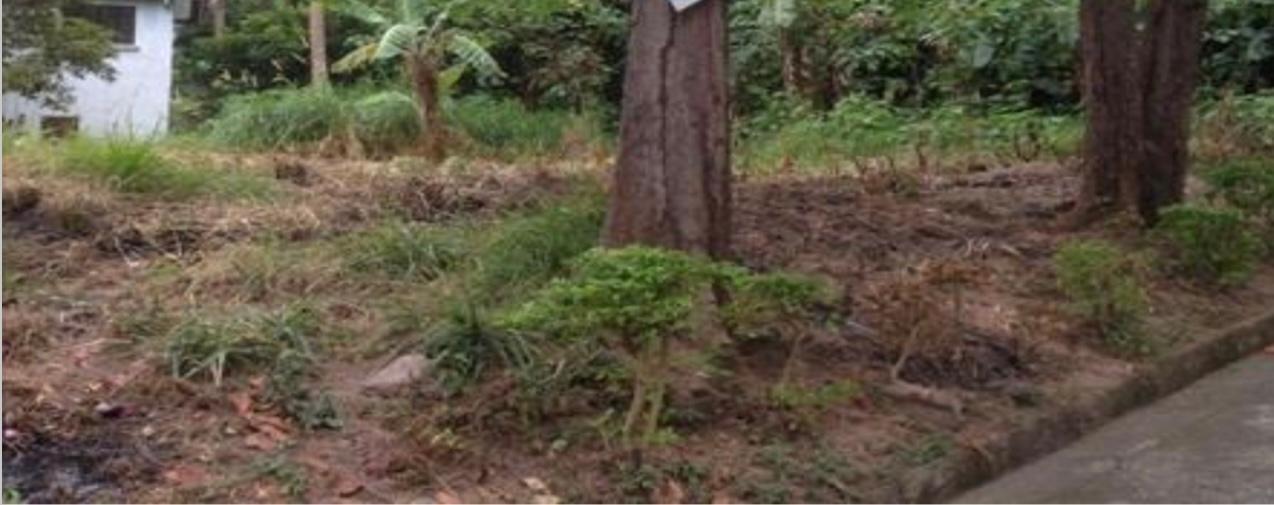 Vacant Lot in Lot 5, Blk. 7, Phase 2, Makiling Heights Subd., Brgy. Pansol, Los Banos, Laguna - Foreclosed Property