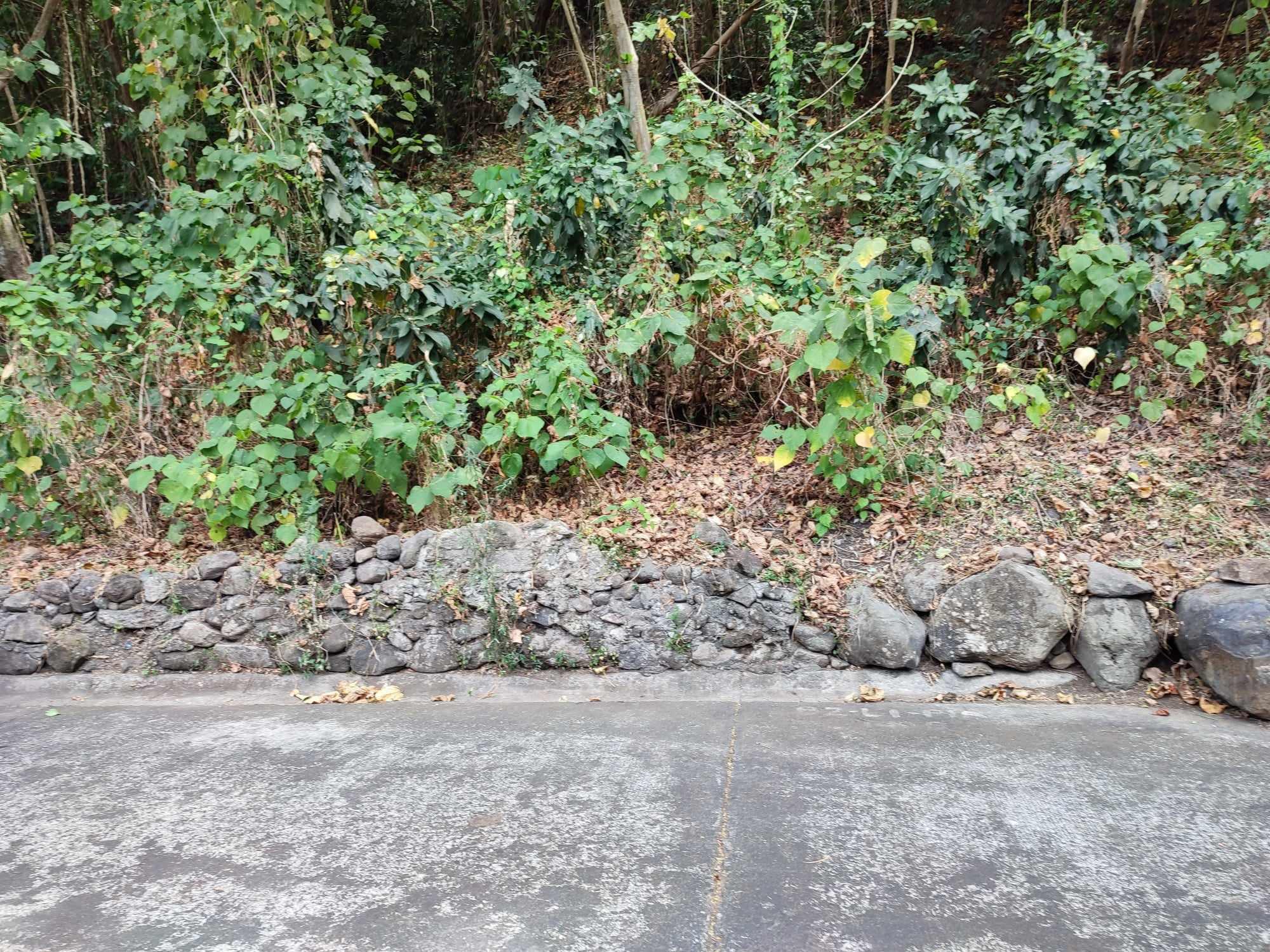 Vacant Lot in Lot 2, Blk 2, St. Monique Valais Subd. Brgys Pantok & Darangan, Binangonan, Rizal - Foreclosed Property