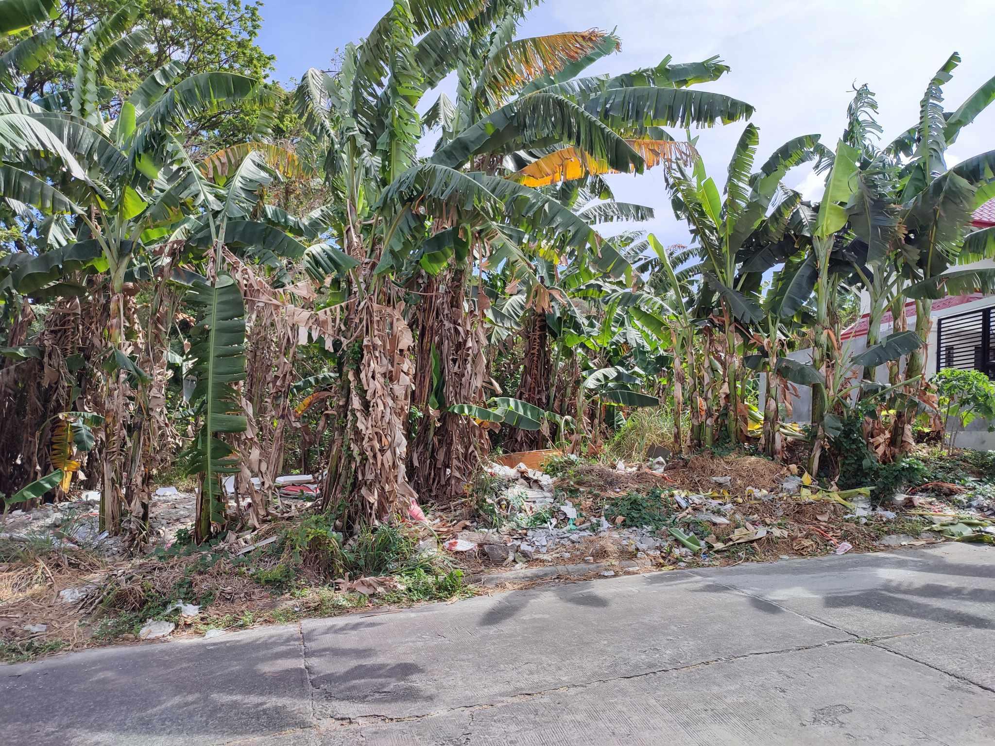 Vacant Lot in Lot 5 Blk 13, Phase III-B, St., Monique Valais, Brgy. Pantok and Darangan, Binangonan, Rizal - Foreclosed Property