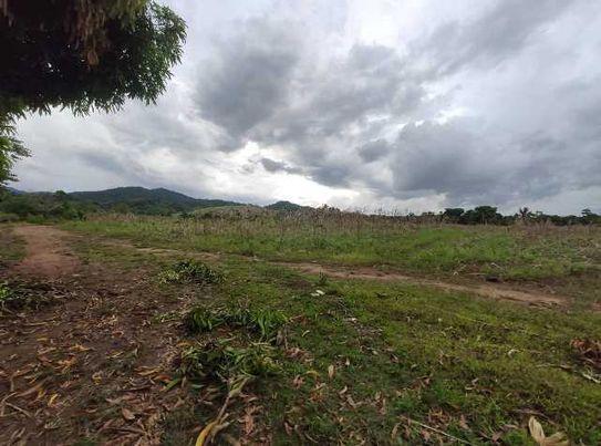 Vacant Lot in Lot 241, Brgy Sta. Clara, Gonzaga, Cagayan - Foreclosed Property