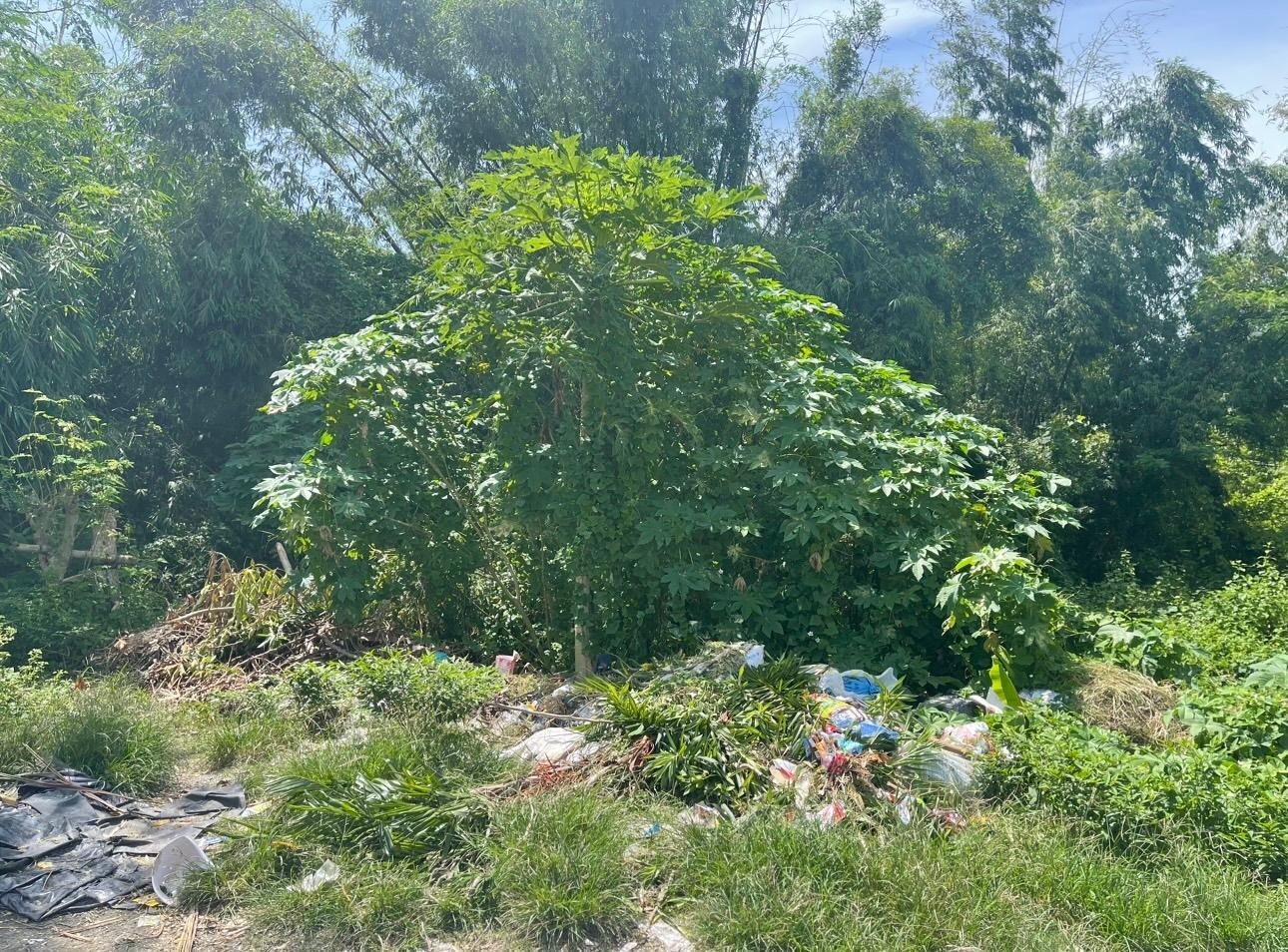 Vacant Lot in Lot 1052-G-12, Morante Ville Homes Brgy. Munting Mapino, Naic, Cavite - Foreclosed Property