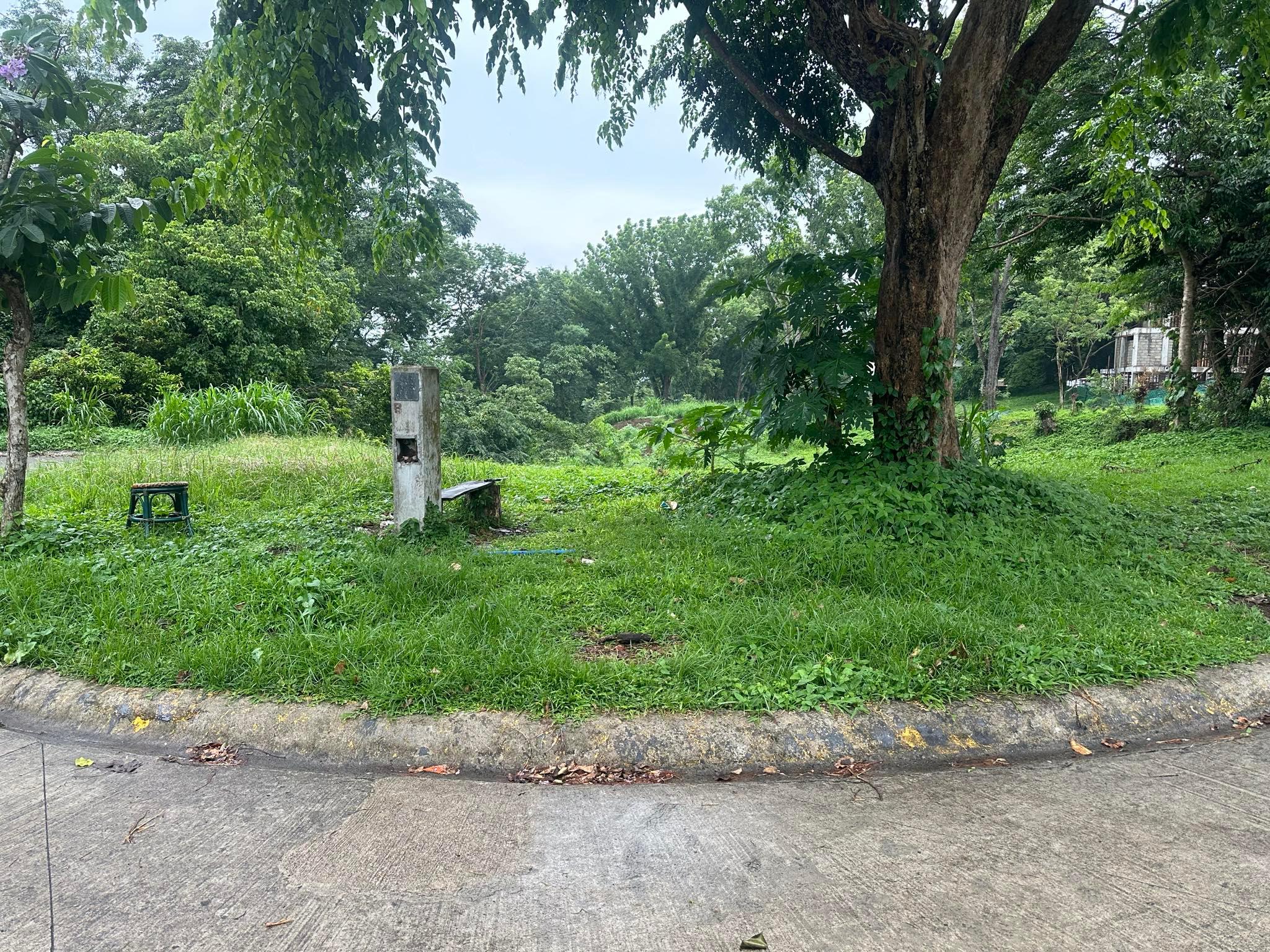 Vacant Lot in Lot 1, Blk. 50, Logrunner Dr., Canyon Woods Residential Resort Ph 2, Brgy. San Gregorio, Laurel, Batangas - Foreclosed Property