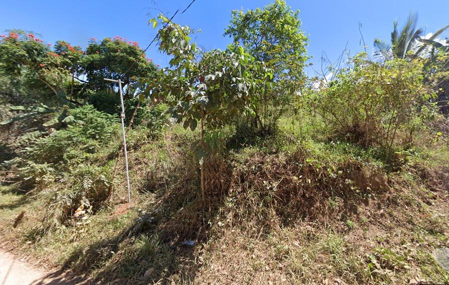 Vacant Lot in Aries Subd., (Phase 1 & 11) Brgy. Dalig & San Isidro, Antipolo City, Rizal - Foreclosed Property