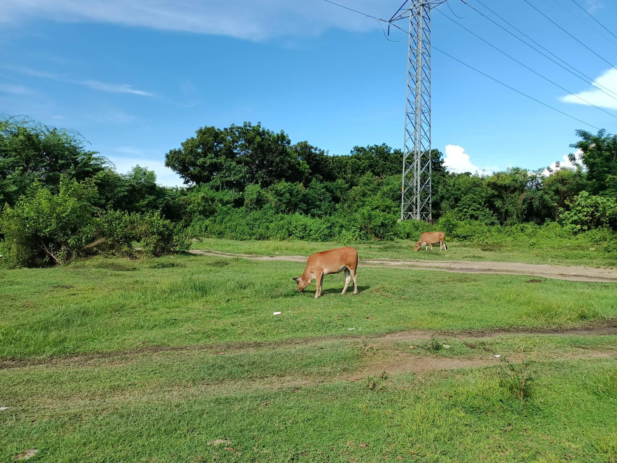 Vacant Lot in Lot 3807-C-2-C, National Road, Brgy. Buhang, Jaro District, Iloilo City, Iloilo - Foreclosed Property