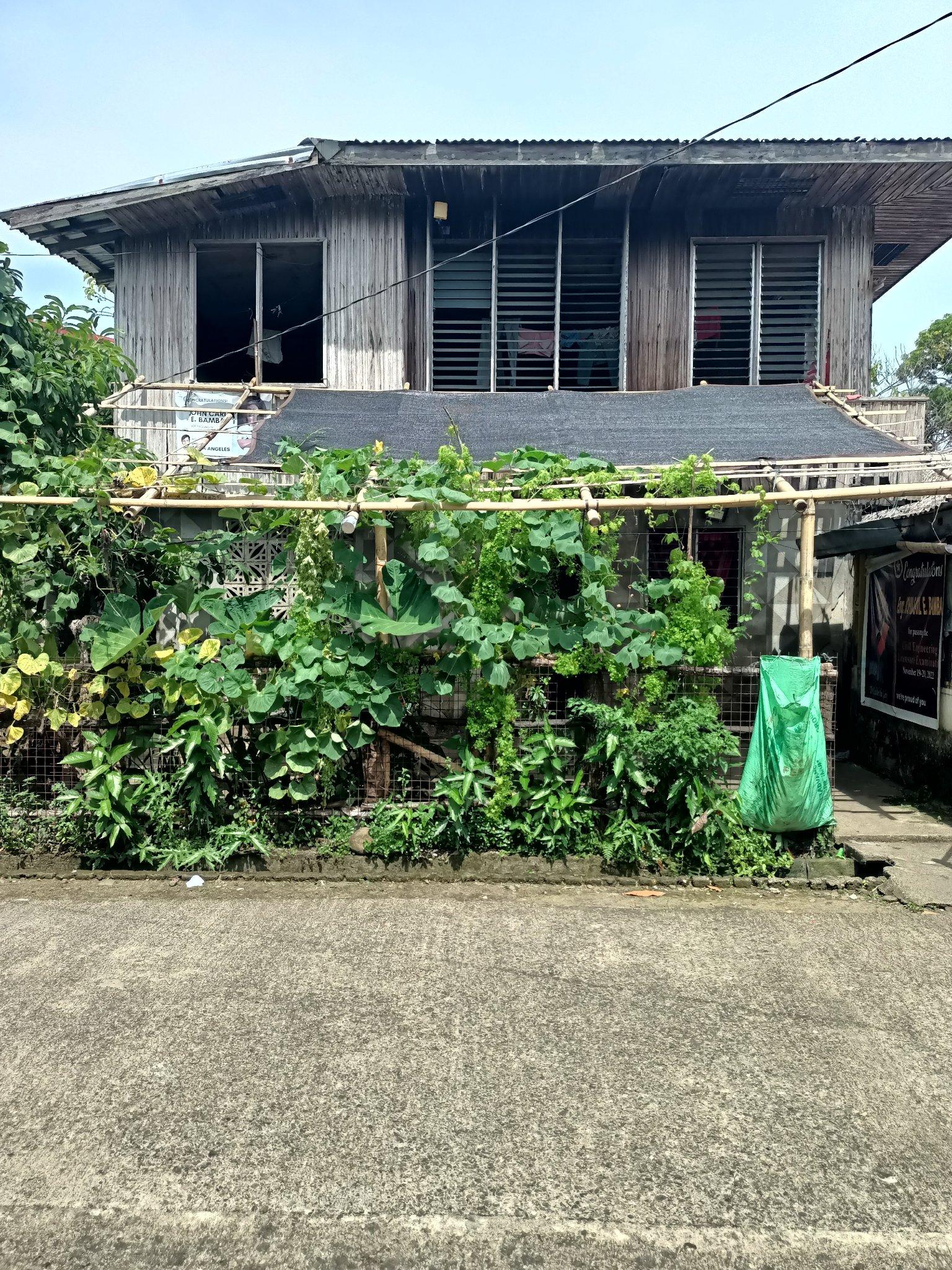 House & Lot in Lot 13-E, Alonzo St., Brgy. Poblacion, Santa Elena, Camarines Norte - Foreclosed Property