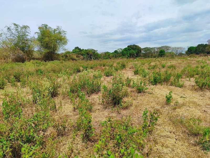 Vacant Lot in Lot 231-B-7, Brgy. Aduas Centro, Cabanatuan City, Nueva Ecija - Foreclosed Property