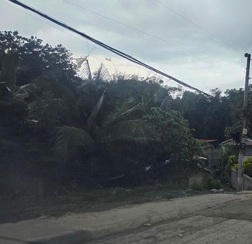 Vacant Lot in Lot 959-B-2-B-5, Bo. Matina Pangi, Davao City, Davao del Sur - Foreclosed Property