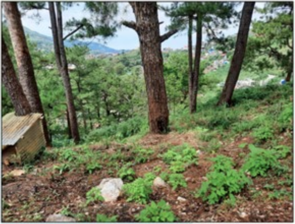 Vacant Lot in LOT NOS. 29-8-18-H-8, 29-8-18-H-9, 29-8-18-H-11 & 29-8-18-H-12 UNNAMED ROAD, BAKAKENG CENTRAL, SANTO TOMAS DISTRICT, BAGUIO CITY, BENGUET - Foreclosed Property