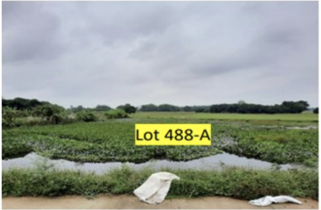 House & Lot in LOTS 488-A, C & D, ALONG BRGY. ROAD, BRGY. SAN JOSE NORTH, ANAO, TARLAC - Foreclosed Property