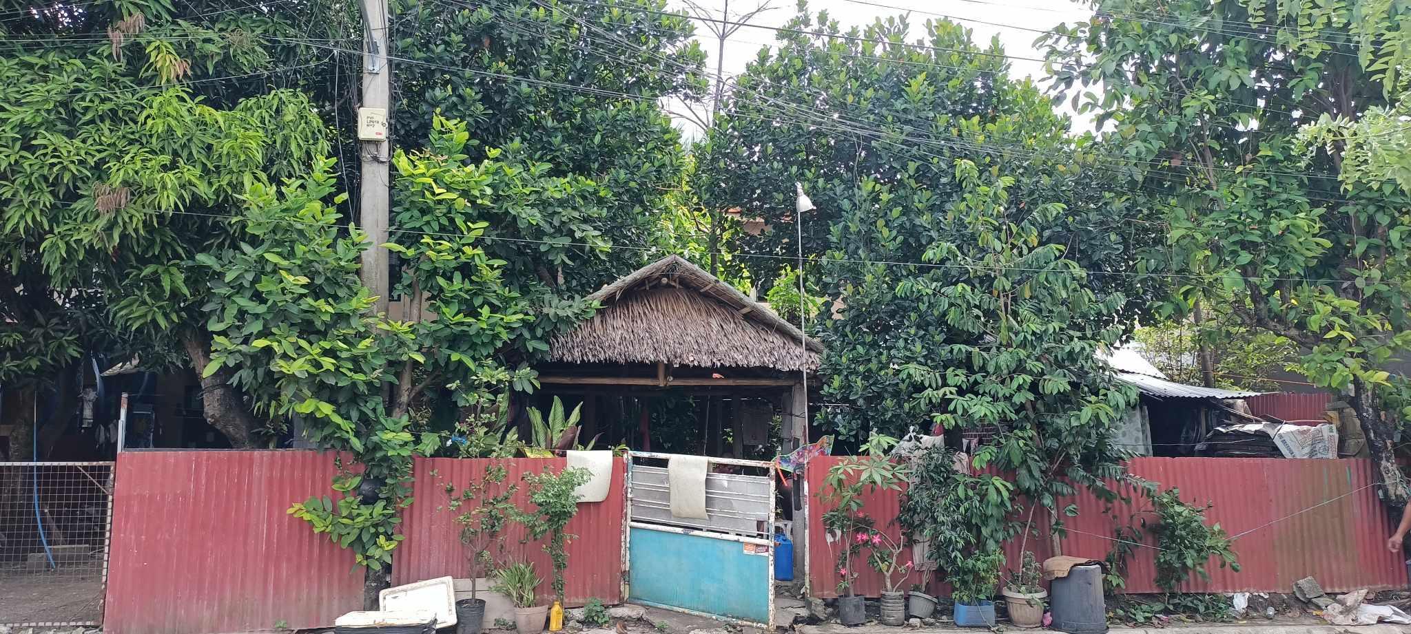 House & Lot in Lot 6, Block 14, Monticello Villas-1, Barangay Balabag, Pavia, Iloilo - Foreclosed Property