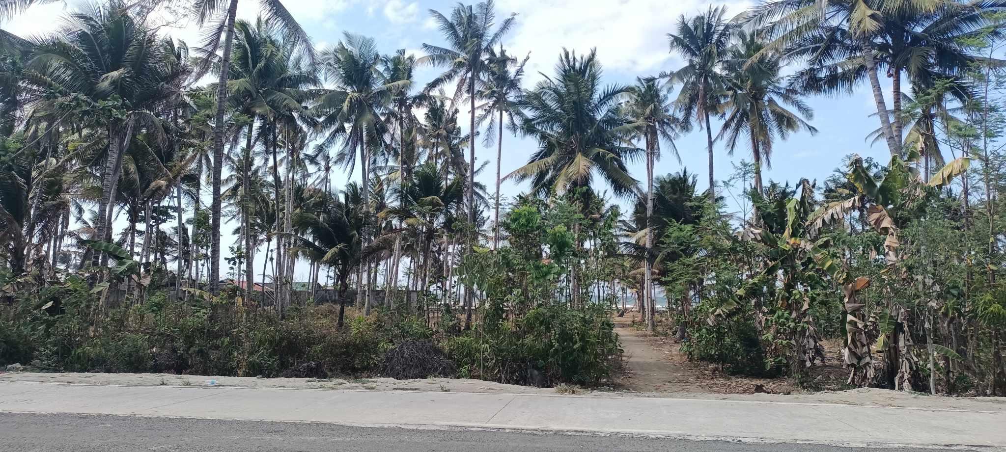 Vacant Lot in Lot 618 Negros South Road (National Highway), Brgy. Tiling, Cauayan, Negros Occidental - Foreclosed Property
