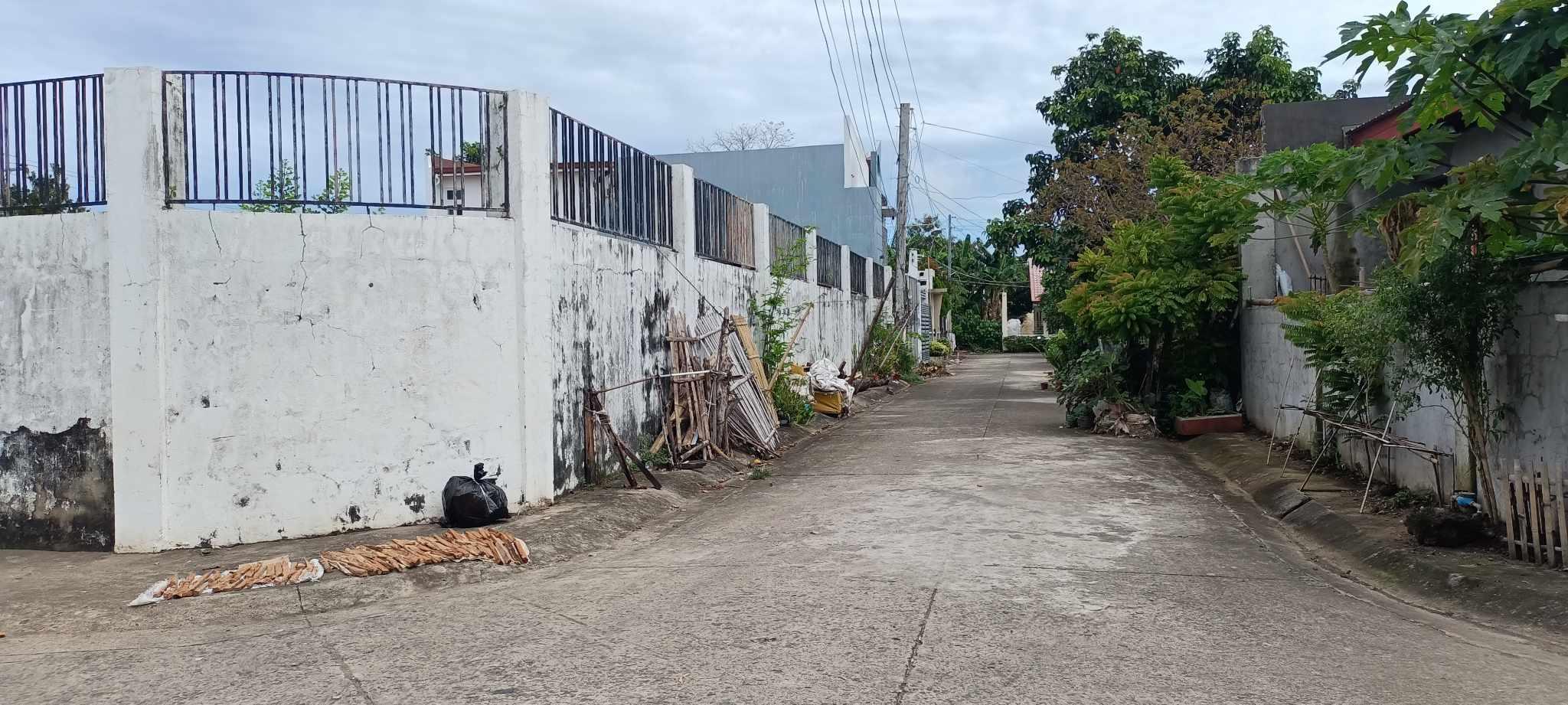 Vacant Lot in Lot 10, Block 2, La Frontera Subdivision, Barangay Mongpong, Roxas City (Capital), Capiz - Foreclosed Property