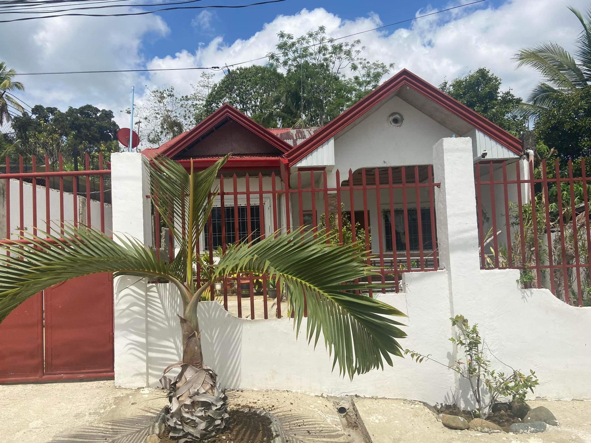 House & Lot in Lot 521-G-2-D, Unnamed Road, Purok 1, Road-to-Kalasan, Brgy. Bogo, Pagadian City (Capital), Zamboanga del Sur - Foreclosed Property