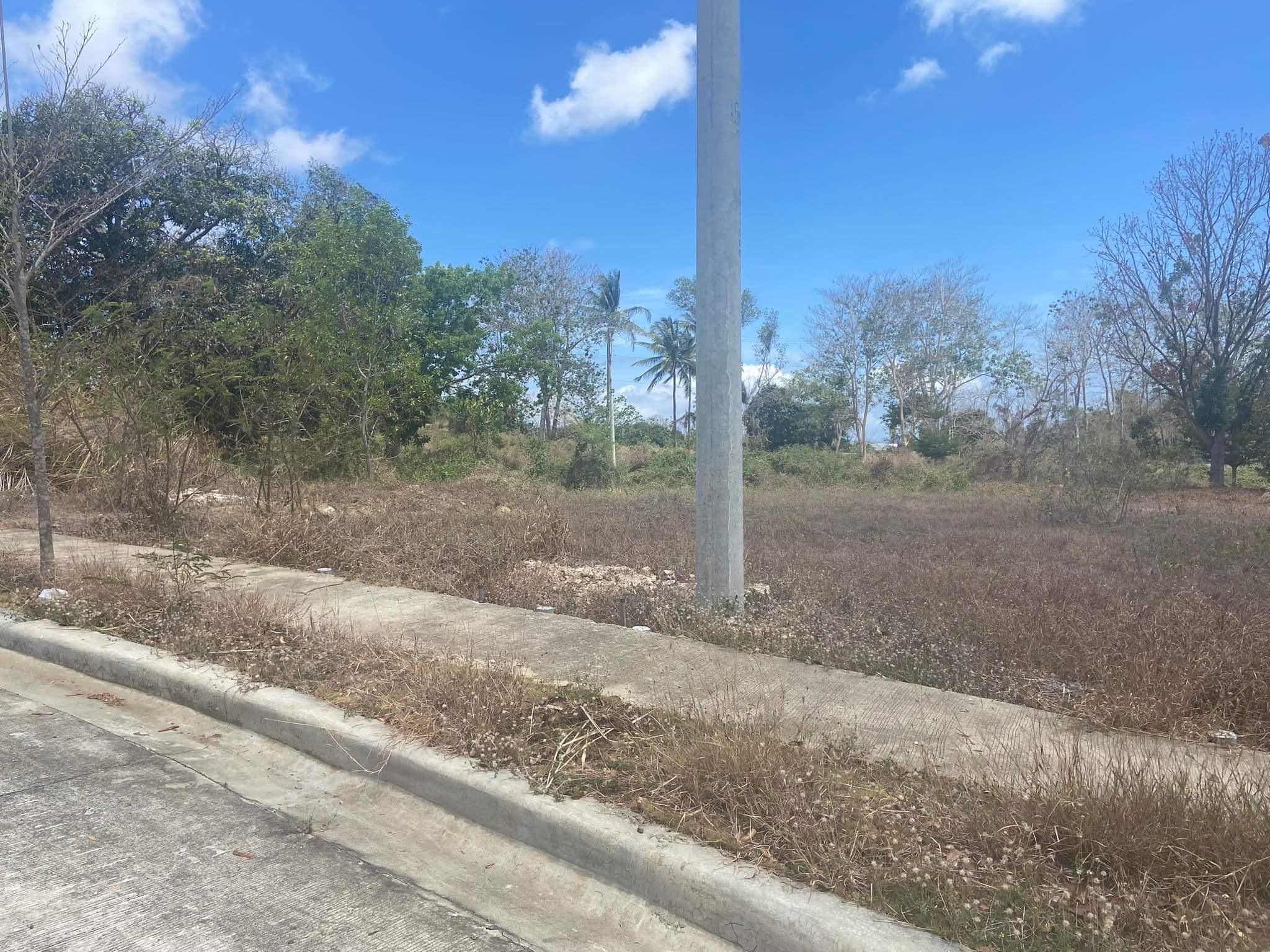 Vacant Lot in Lot 2, Block 4, Lohas Hill Homes, Sinalac, Laguindingan, Misamis Oriental - Foreclosed Property
