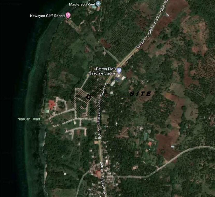 Vacant Lot in Lot 6, Block 8, Red Cauliflower Street corner Cynarina Street, Coral Resort Estates, Barangay Pagahan, Initao, Misamis Oriental - Foreclosed Property