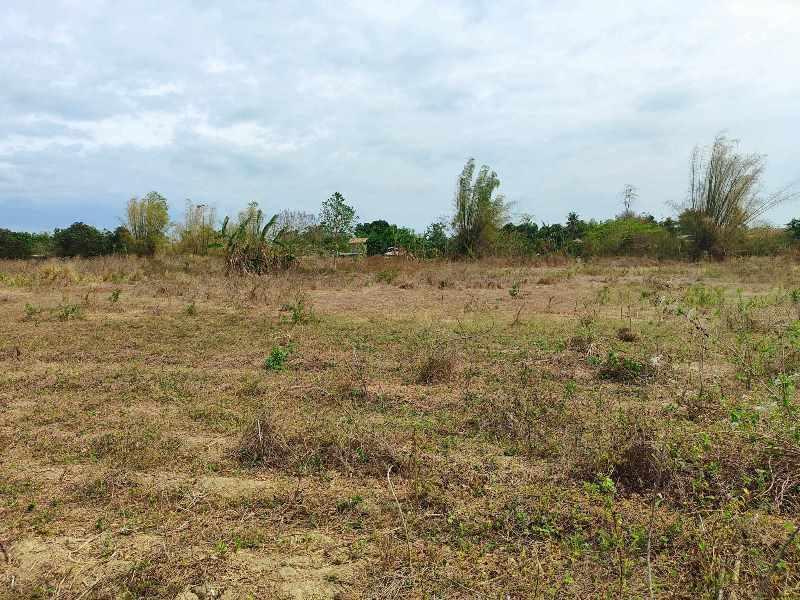 Vacant Lot in Lot 231-C-10, Brgy. Aduas Centro, Cabanatuan City, Nueva Ecija - Foreclosed Property