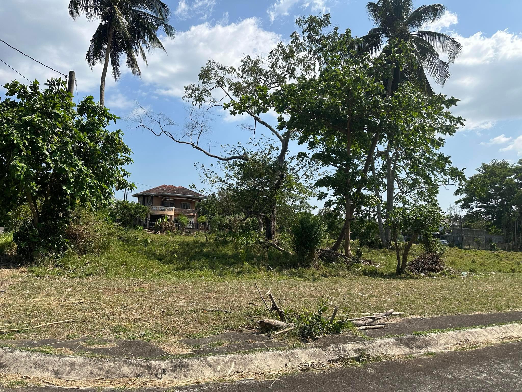 Vacant Lot in Lot 2, Blk. 4, Manhattan St. Cor. Lexington St. Manhattan Village, Brgy. San Francisco, San Pablo City, Laguna - Foreclosed Property