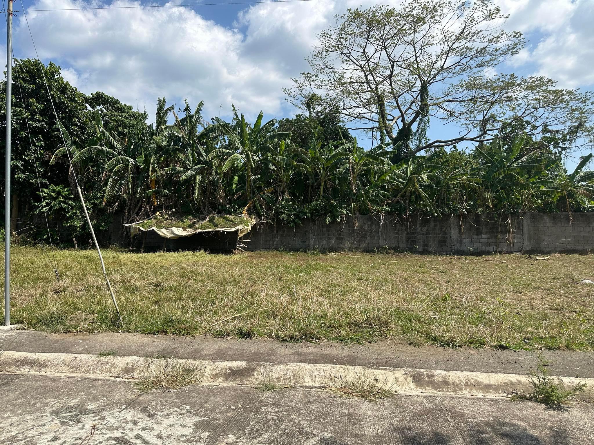Vacant Lot in Lot 2, Blk 11, Manhattan Village V, Phase 4 Brgy. San Gregorio, San Pablo City, Laguna - Foreclosed Property