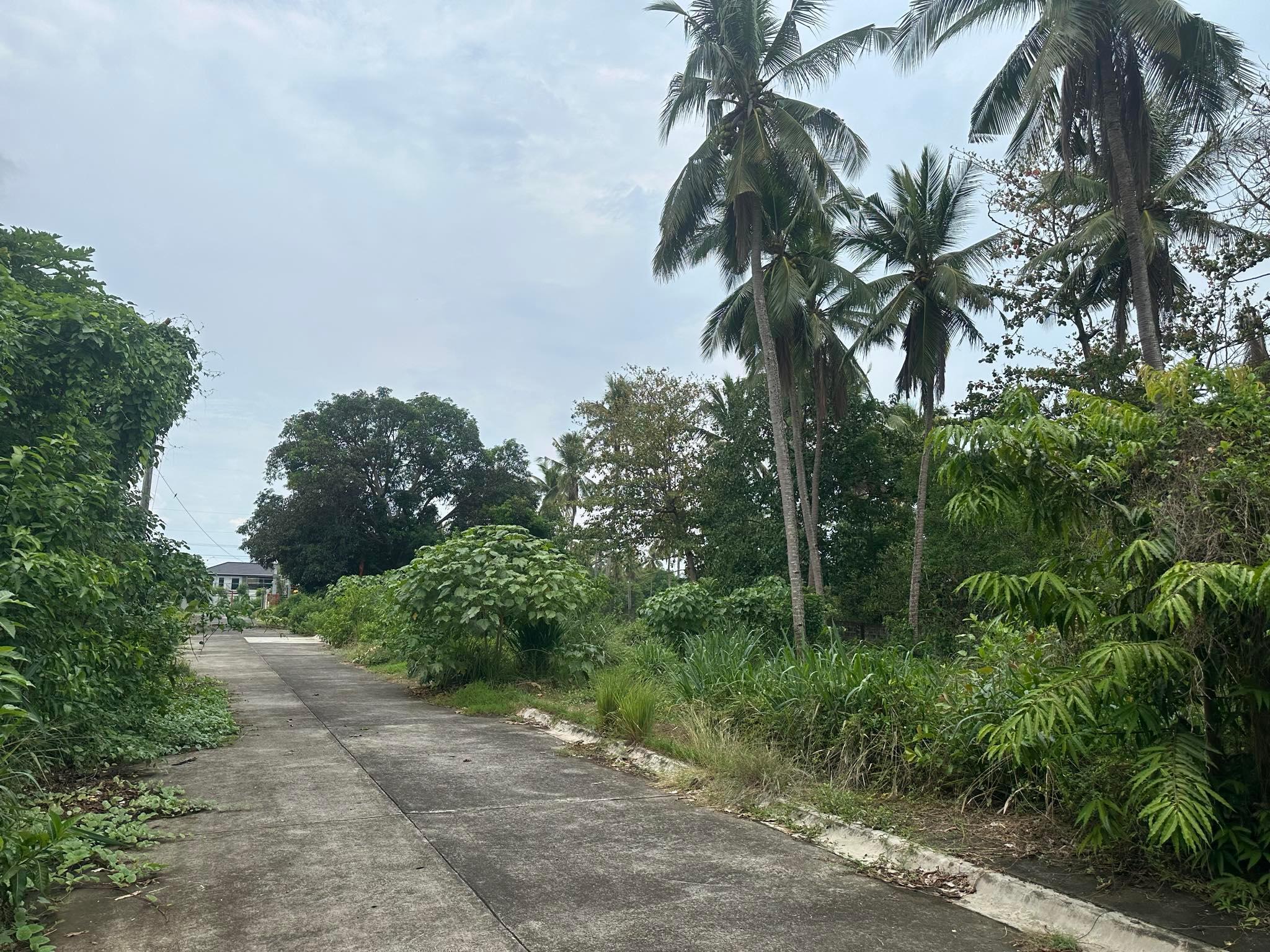 Vacant Lot in Lot 20 Blk 1 Brgy. Sta. Rita, Batangas City, Batangas - Foreclosed Property