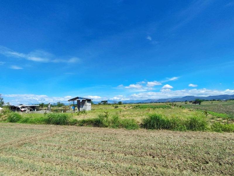 Vacant Lot in Lot 1657-C-8 Unnamed Road Barangay Bagong Sikat, San Jose, Occidental Mindoro - Foreclosed Property