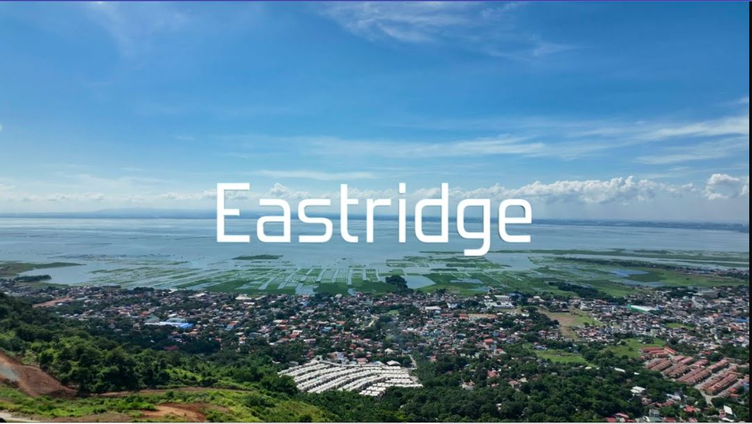 Vacant Lot in LOT 20 BLK 59 UNNAMED ROAD, EASTRIDGE, BRGY. BILIBIRAN, BINANGONAN, RIZAL - Foreclosed Property