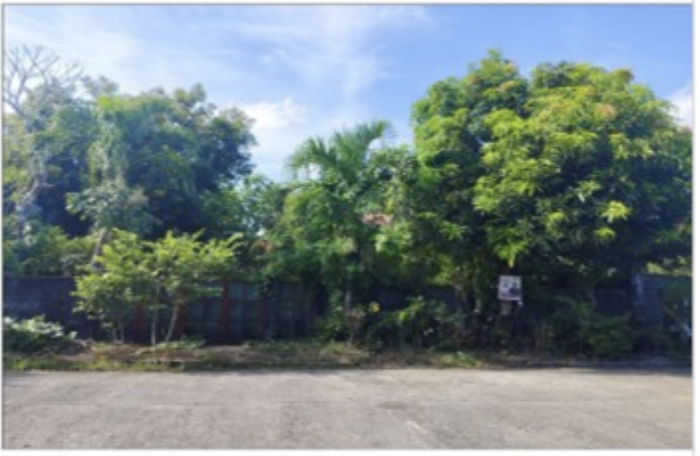 House & Lot in LOT 8 BLK. 19, ST. PAUL SUBDIVISION, BRGY. PALESTINA, PILI, CAMARINES SUR - Foreclosed Property