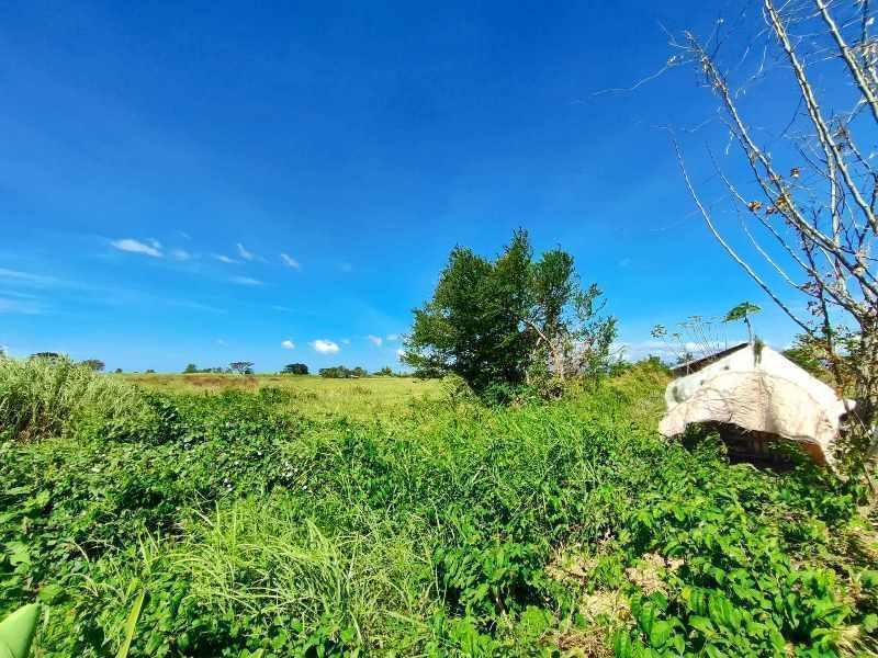 Vacant Lot in Lot 1657-A-1, Brgy. Bagong Sikat, San Jose, Occidental Mindoro - Foreclosed Property