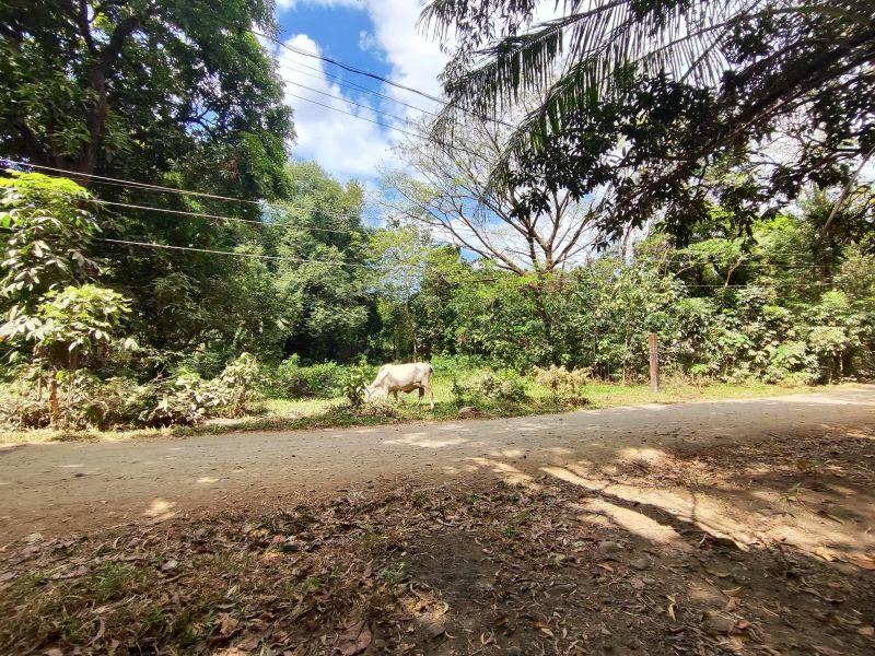 House & Lot in Lot No. 2211, Batonlapoc, Botolan, Zambales - Foreclosed Property