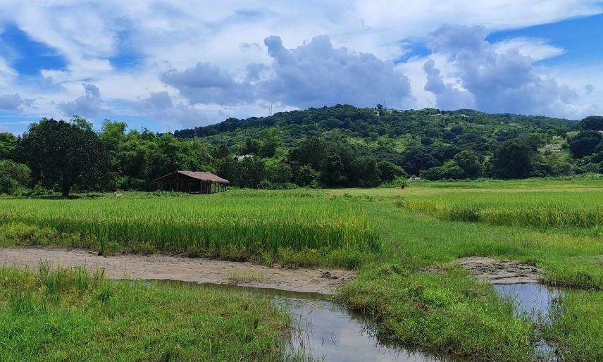 Vacant Lot in Lot 359-B, Barangay Mabanglit, Cabangan, Zambales - Foreclosed Property