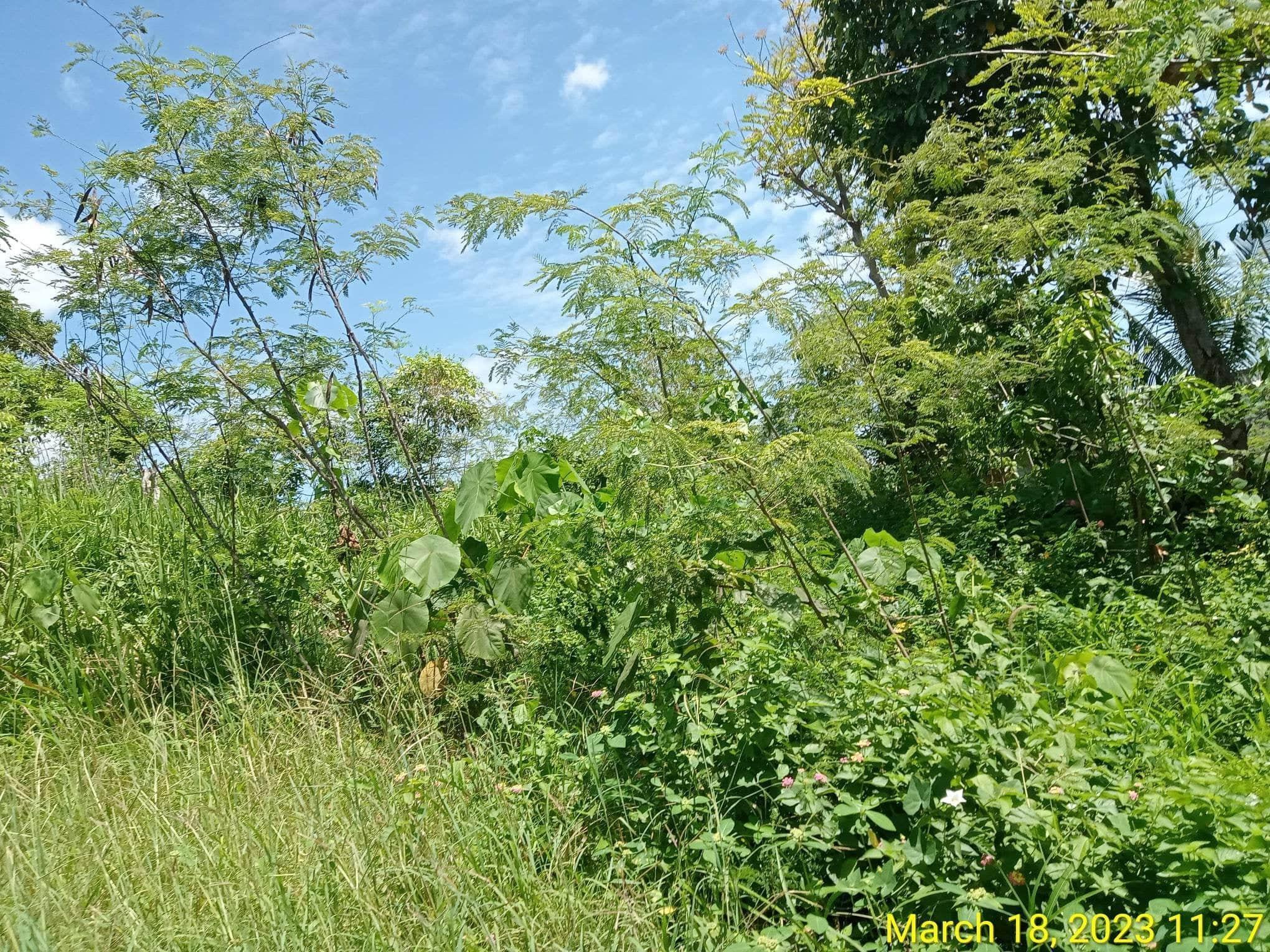 Vacant Lot in Lot 3380-D-1-E, Sitio Sto. Rosario, Barangay Rizal, San Carlos City, Negros Occidental - Foreclosed Property