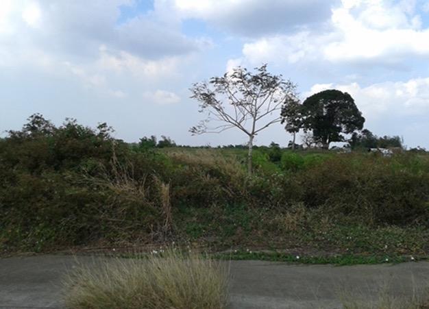 Vacant Lot in Lot 2, Block 17, Unnamed Road (Road Lot 18), Sherwood Hills Residential Estates and Golf & Country Club Subdivision, Barangay Cabezas, Trece Martires City (Capital), Cavite - Foreclosed Property