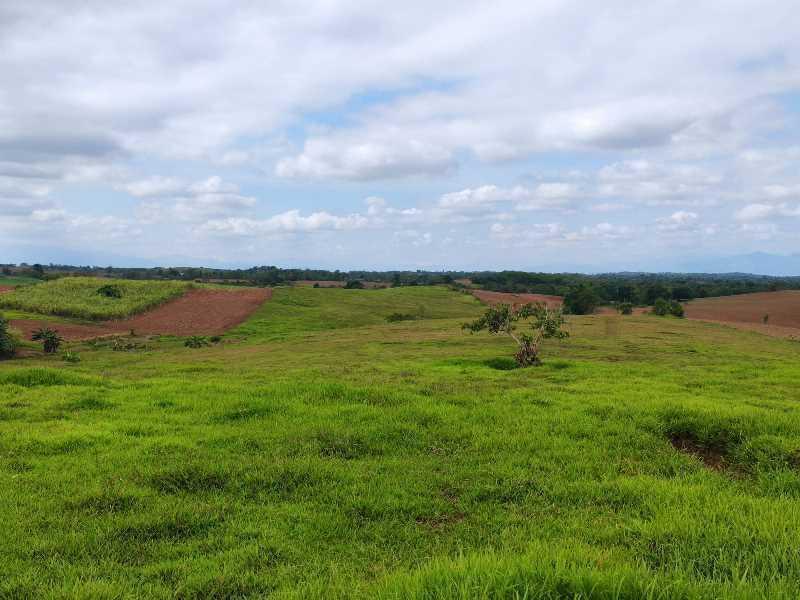 Vacant Lot in Lot No. 6356-B, San Felipe, Echague, Isabela - Foreclosed Property