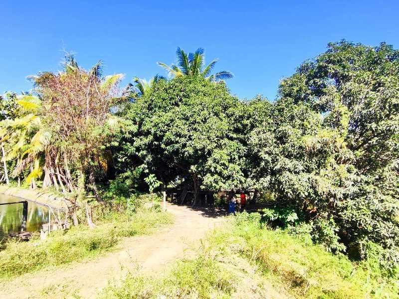 House & Lot in Lot 2480, Barangays Malapat and Taringsing, Cordon, Isabela - Foreclosed Property